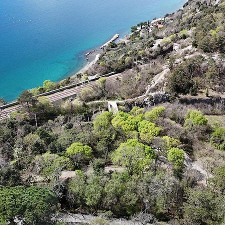 Alla Cantina Aurisina Εξωτερικό φωτογραφία