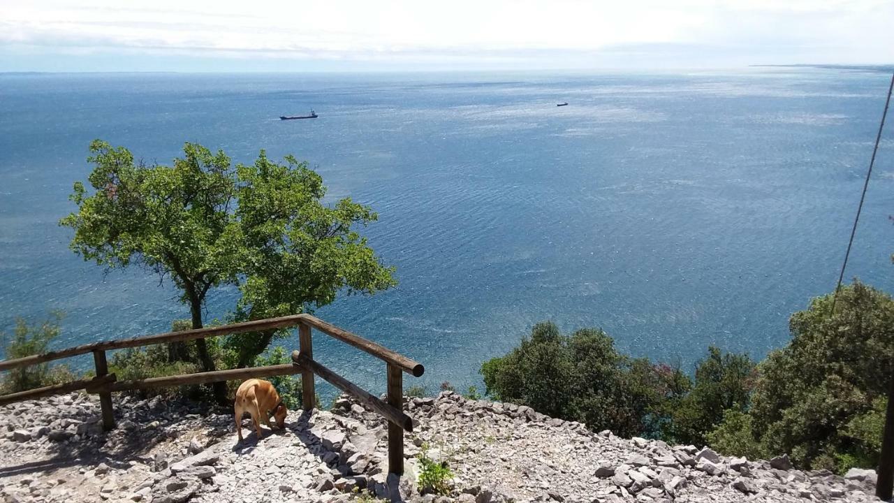 Alla Cantina Aurisina Εξωτερικό φωτογραφία